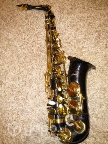 Selman Alto Sax