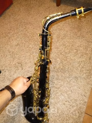 Selman Alto Sax - Imagen 6