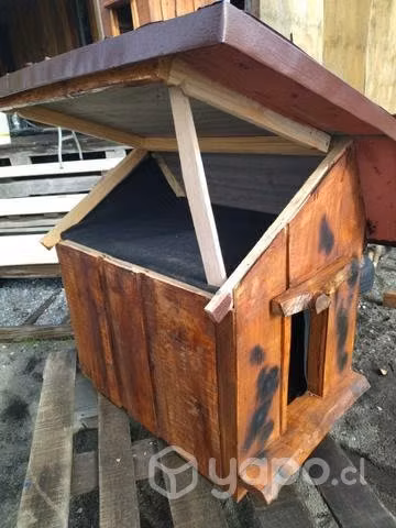 Casa perro chico
