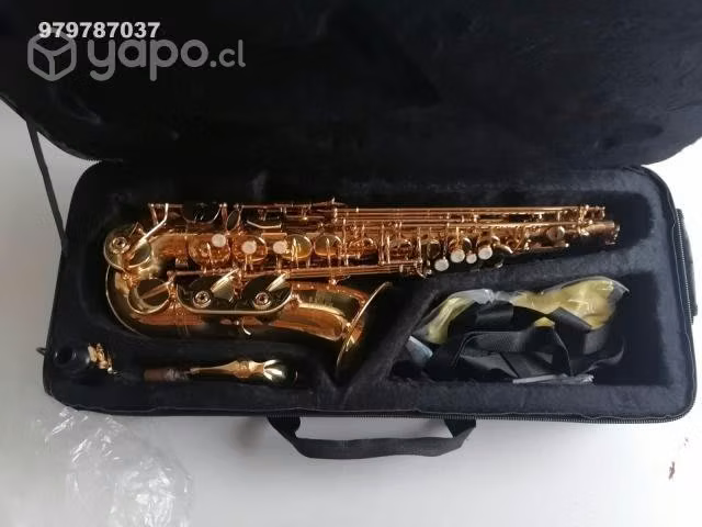 Saxo alto Roy Benson as-202 - Imagen 4