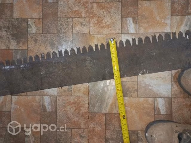 Corvina de 2.2 más