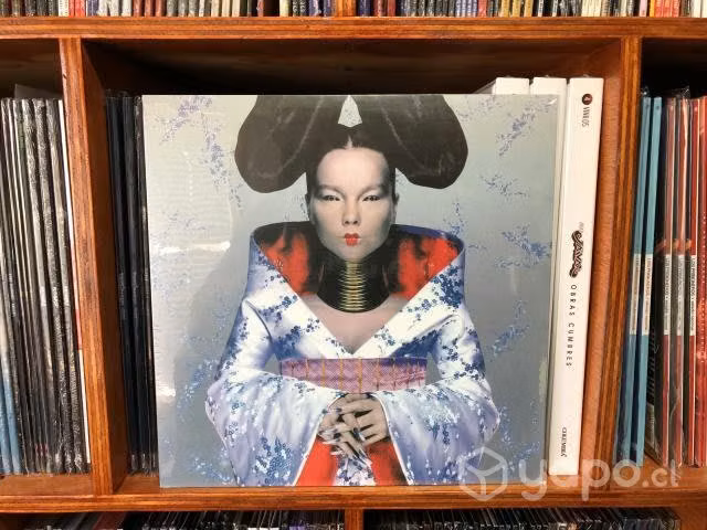 Vinilo de Bjork - Homogenic