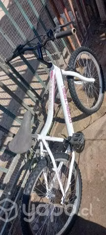 Bicicleta ozark trail