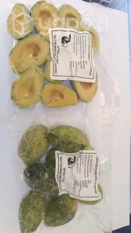 Paltas congeladas 1/2 kilo