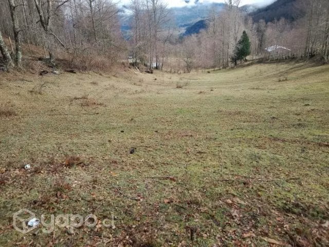 Parcela de 5.000m2 - Imagen 4