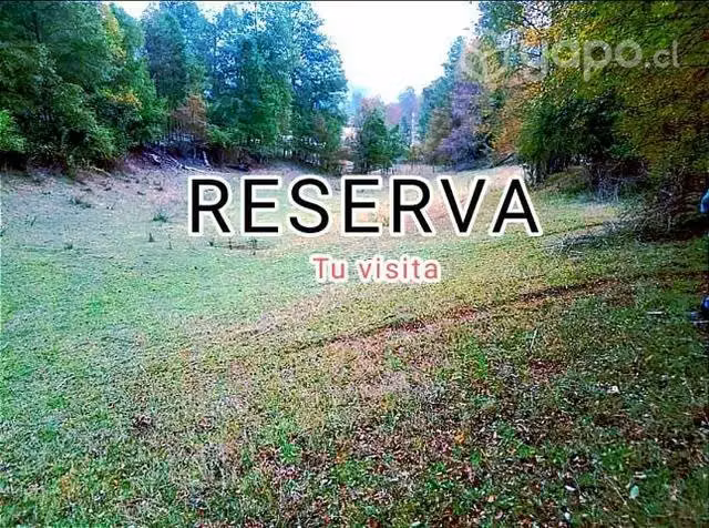 Parcela de 5.000m2