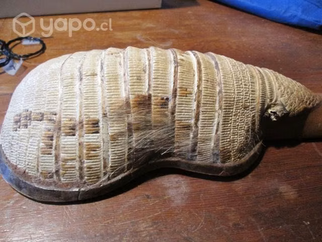 Charango de quirquincho para reparar