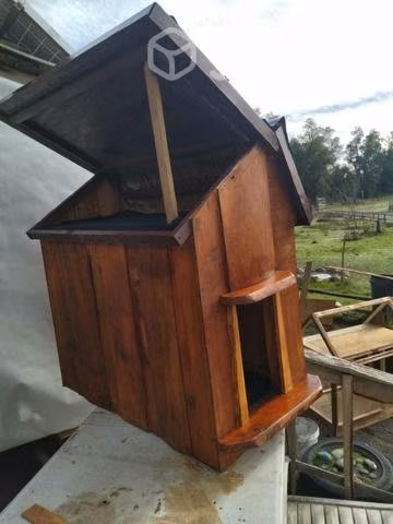 Casa perro