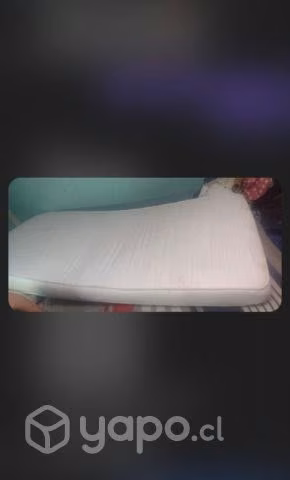 Cama
