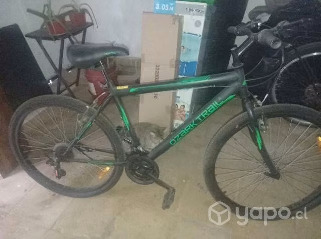 Bicicleta en buen estato