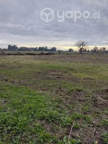 Parcela 5600 mts a 10 kms de TALCA
