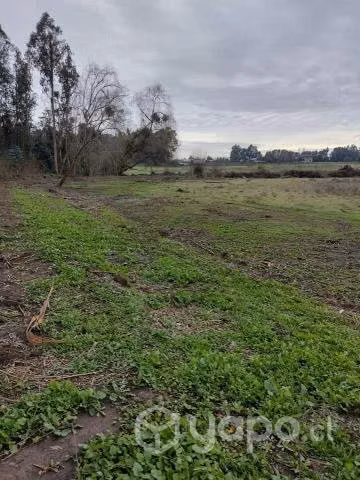 Parcela 5600 mts a 10 kms de TALCA