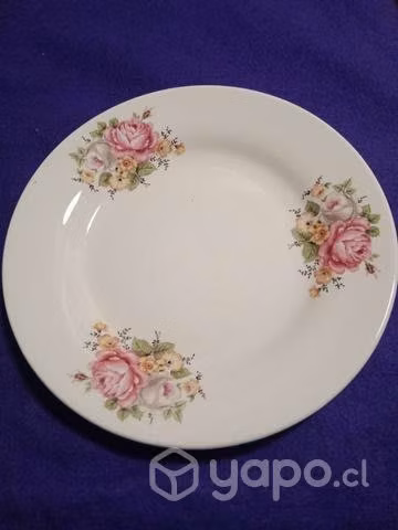 Plato Fanaloza - lozapenco