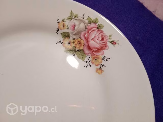 Plato Fanaloza - lozapenco