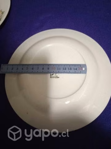 Plato Fanaloza - lozapenco