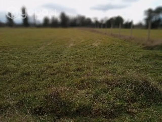 2 parcelas 5.000 m2 - Imagen 5