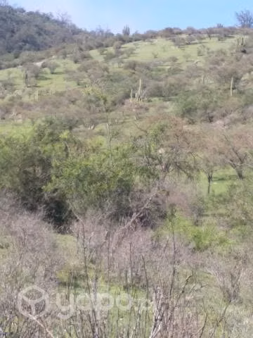 Terreno en alhue