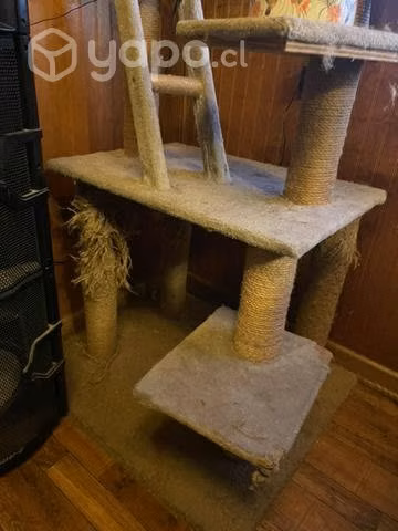 Parque Gatos - Imagen 2