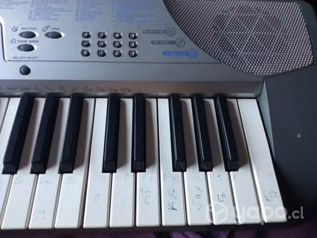 Teclado casio