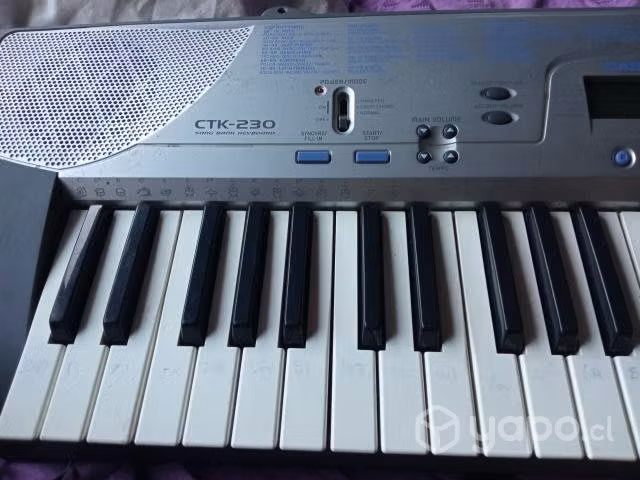 Teclado casio