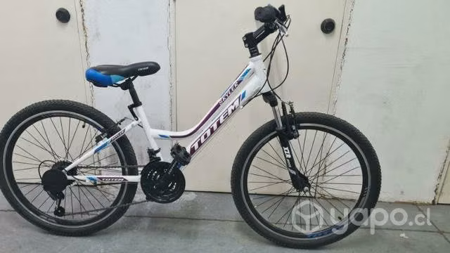 2 bicicletas totem nuevas aro 24