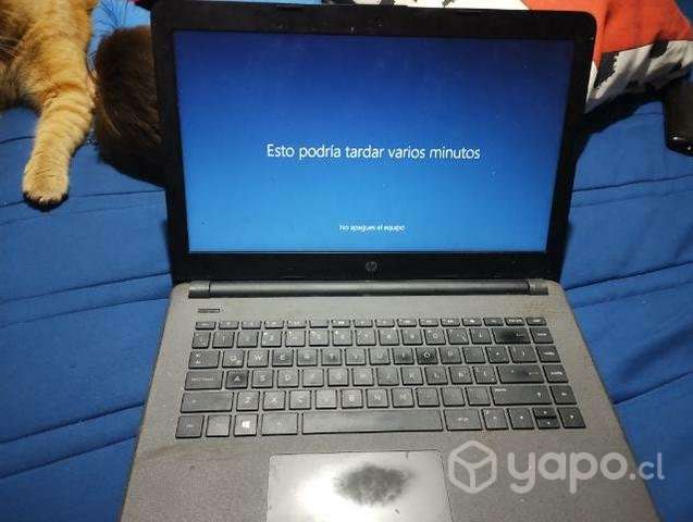Netbook sin detalle - Imagen 4