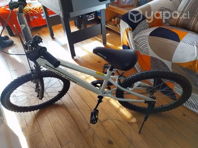 Bicicleta para niños aro 20