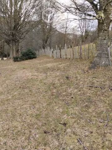 30 hectáreas - Imagen 4