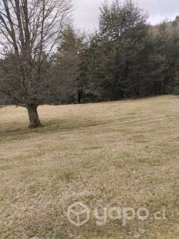 30 hectáreas - Imagen 9