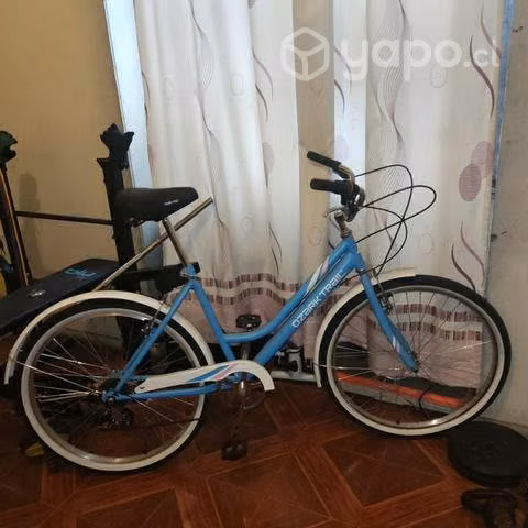 Bicicleta mujer