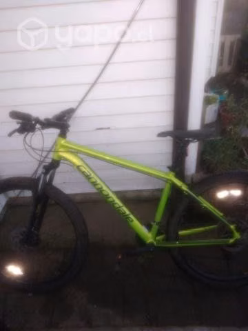 Cannondale mtb