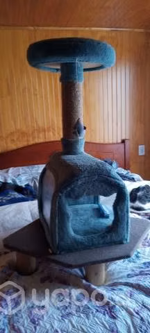 mascotita no lo uso