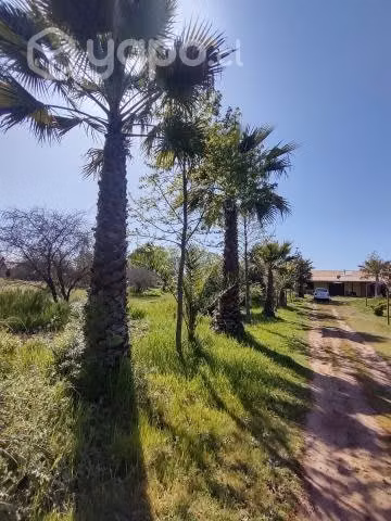 Parcela 1 HTA y casa, sector Alto Pangue