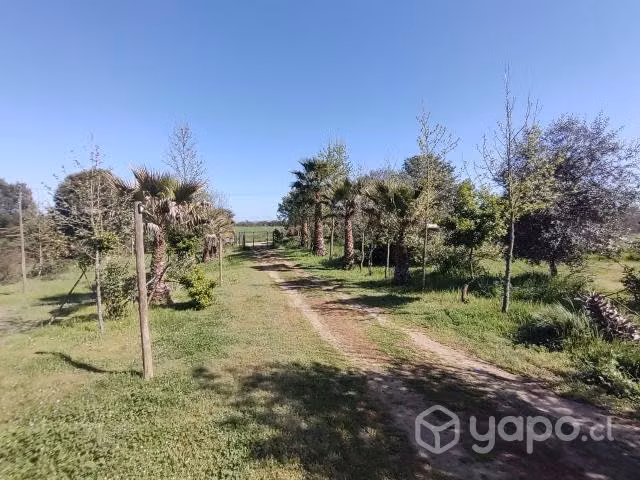 Parcela 1 HTA y casa, sector Alto Pangue