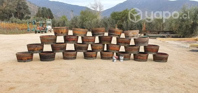 1/2 Barricas de roble francés