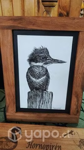 Acuarelas, cuadros, aves, pájaros - Imagen 3