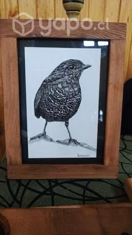 Acuarelas, cuadros, aves, pájaros - Imagen 4