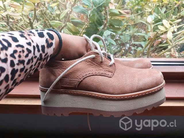 Zapatos cat