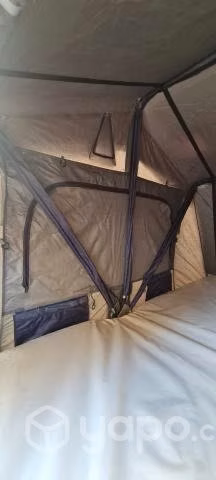 Carpa volcano