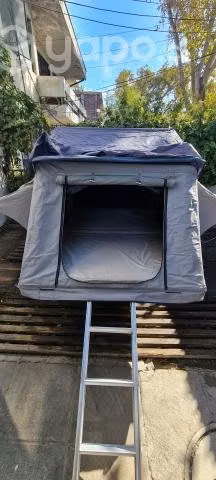 Carpa volcano