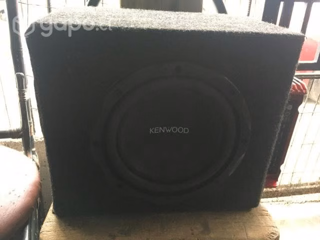 Basuca con amplificador
