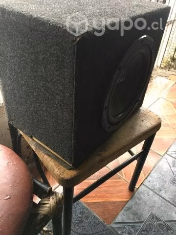 Basuca con amplificador