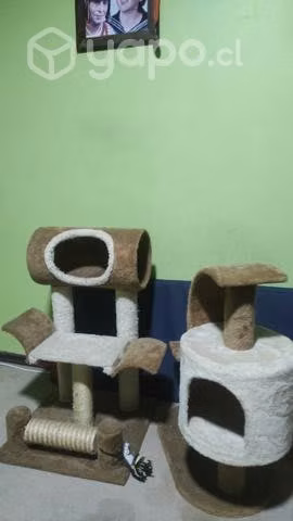 Rascador para gato