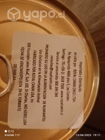 Todo para tu gatito