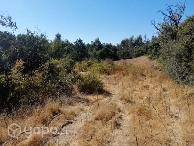 Terreno 2.5 hectáreas
