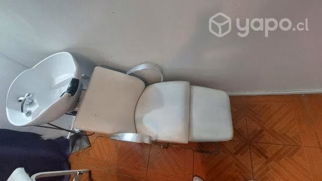 Lavapelo de peluqueria