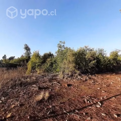 Terreno de 5000 m² en Parral - Imagen 3