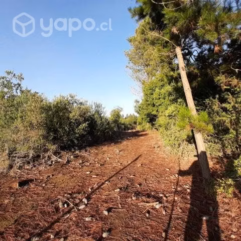 Terreno de 5000 m² en Parral