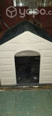 Casa de perro