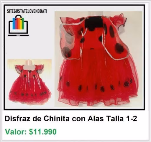 Disfraz de Chinita con Alas